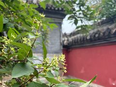 -潭柘寺景区