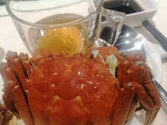 -金枝玉叶上海人家食府(三里河店)