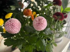 -顺鑫石门市场