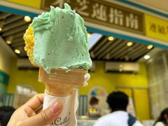 -柠檬车露(卖草地店)