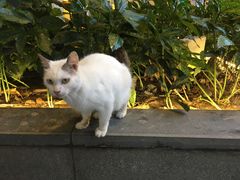 -中海环宇荟