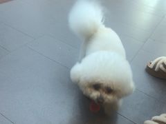 -联合动物医院(光谷诊疗中心)