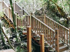 -七仙岭温泉国家森林公园