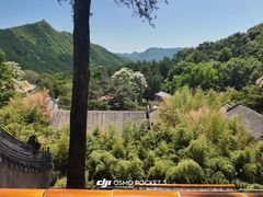 -潭柘寺景区