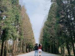 -山王坪喀斯特国家生态公园