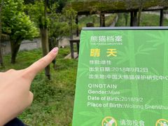 -中国大熊猫保护研究中心雅安碧峰峡基地