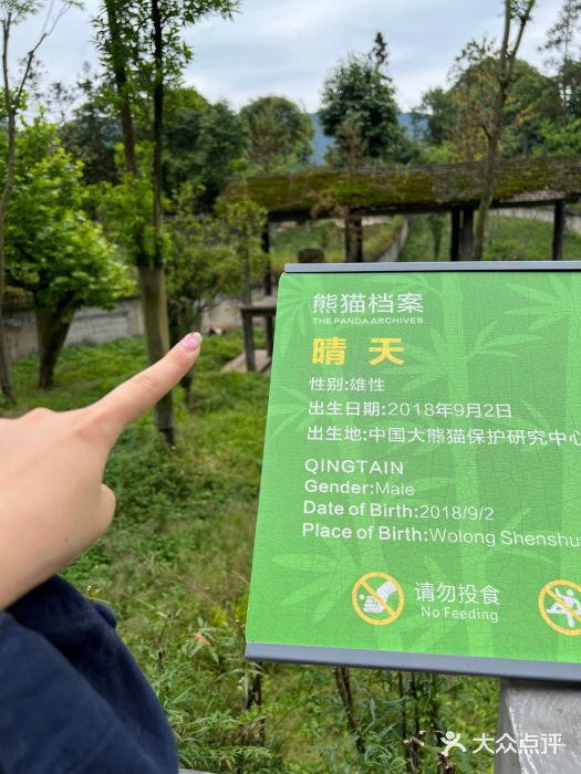 中国大熊猫保护研究中心雅安碧峰峡基地图片