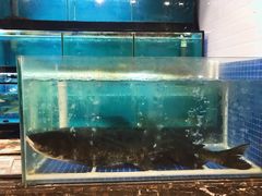 水产区-后宫私房菜(汇客美食娱乐广场店)