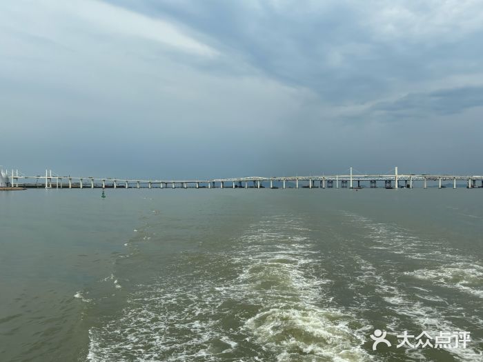 澳门环岛游湾仔码头图片