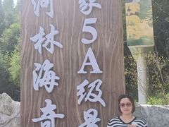 -汤旺河林海奇石景区