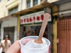 -洪馨椰子