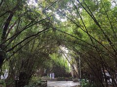 -开平碉楼文化旅游区马降龙景区