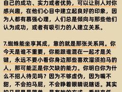 -德瑞姆心理咨询旗舰店