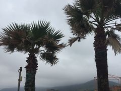 -嵊泗基湖沙滩