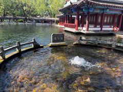 -百脉泉景区
