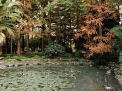 -苏州河梦清园环保主题公园