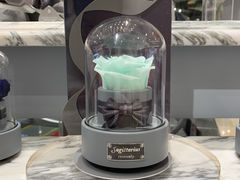 -ROSEONLY诺誓(国际广场购物中心店)