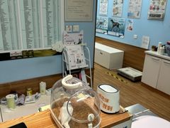 -瑞派·关忠动物医院·异宠专科·犬猫肿瘤·皮肤专科(望京店)