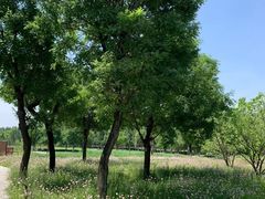 -汉长安城未央宫国家考古遗址公园