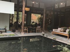 -秀丽东方