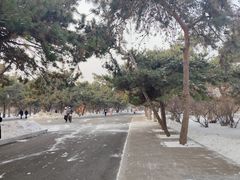 -北陵公园