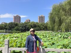 -莲花池公园