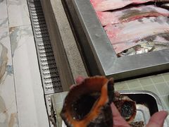 -映像威海·海鲜味道(经区店)