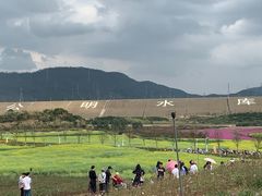 -光明小镇欢乐田园
