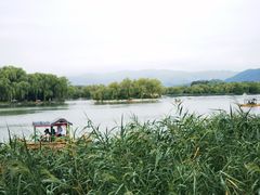 -北坞公园