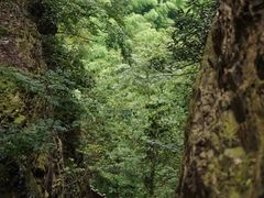 -陶祖圣境风景区