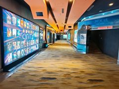 -北京英嘉国际影城(金源CINITY店)