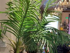 -梁溪河畔·吉府花园(南长街南下塘店)