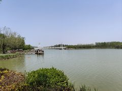 -塘沽森林公园