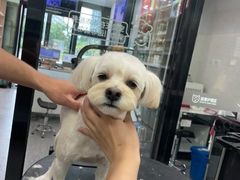 -宠物家(长阳店)
