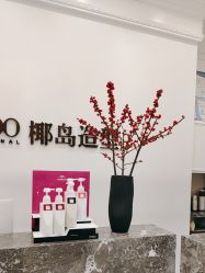 -YESIDO椰岛造型