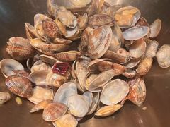 浩运蛤蜊-浩运海鲜·16年专注青岛菜(石老人店)