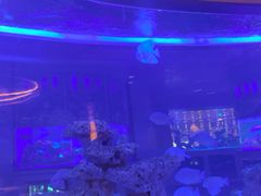 -上和臻品中国菜(花园街店)