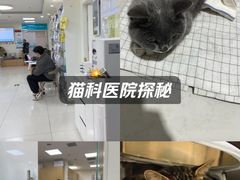 -美联众合动物医院·24h京西诊疗中心