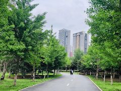 -长白岛森林公园