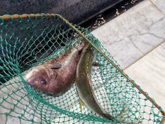 -湾仔渔村(高明店)