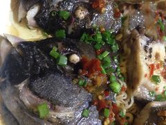 剁椒海金鮕（石斑鱼类）-郑厨私房菜