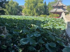 -莲池书院博物馆