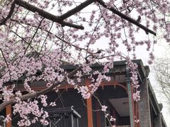 -北京师范大学附属中学