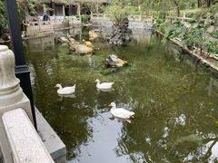 -国恩寺