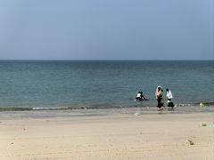 -贝壳沙滩