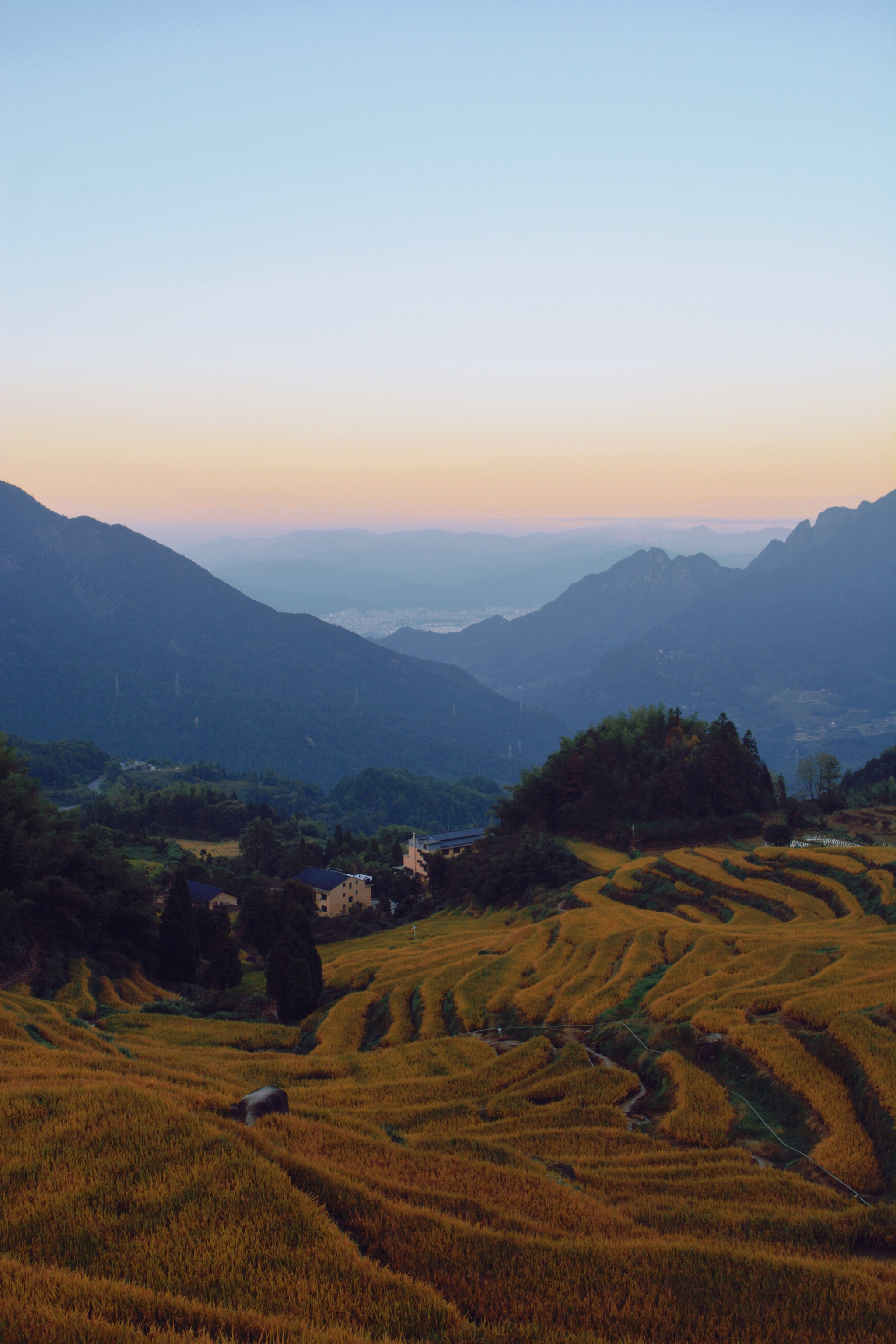 云和梯田最佳旅游时间图片