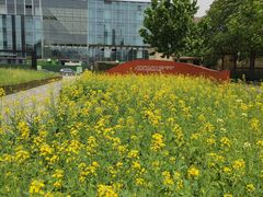 -BHG生活超市(安贞店)