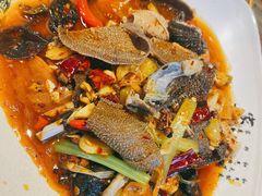 火爆毛肚-肖四女·江湖菜(临港店)