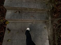 -小南山公园