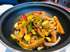 -巴依老爷新疆美食(常营店)